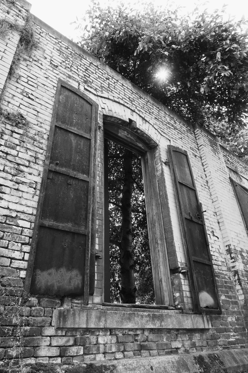 Processed with VSCO with 1 preset