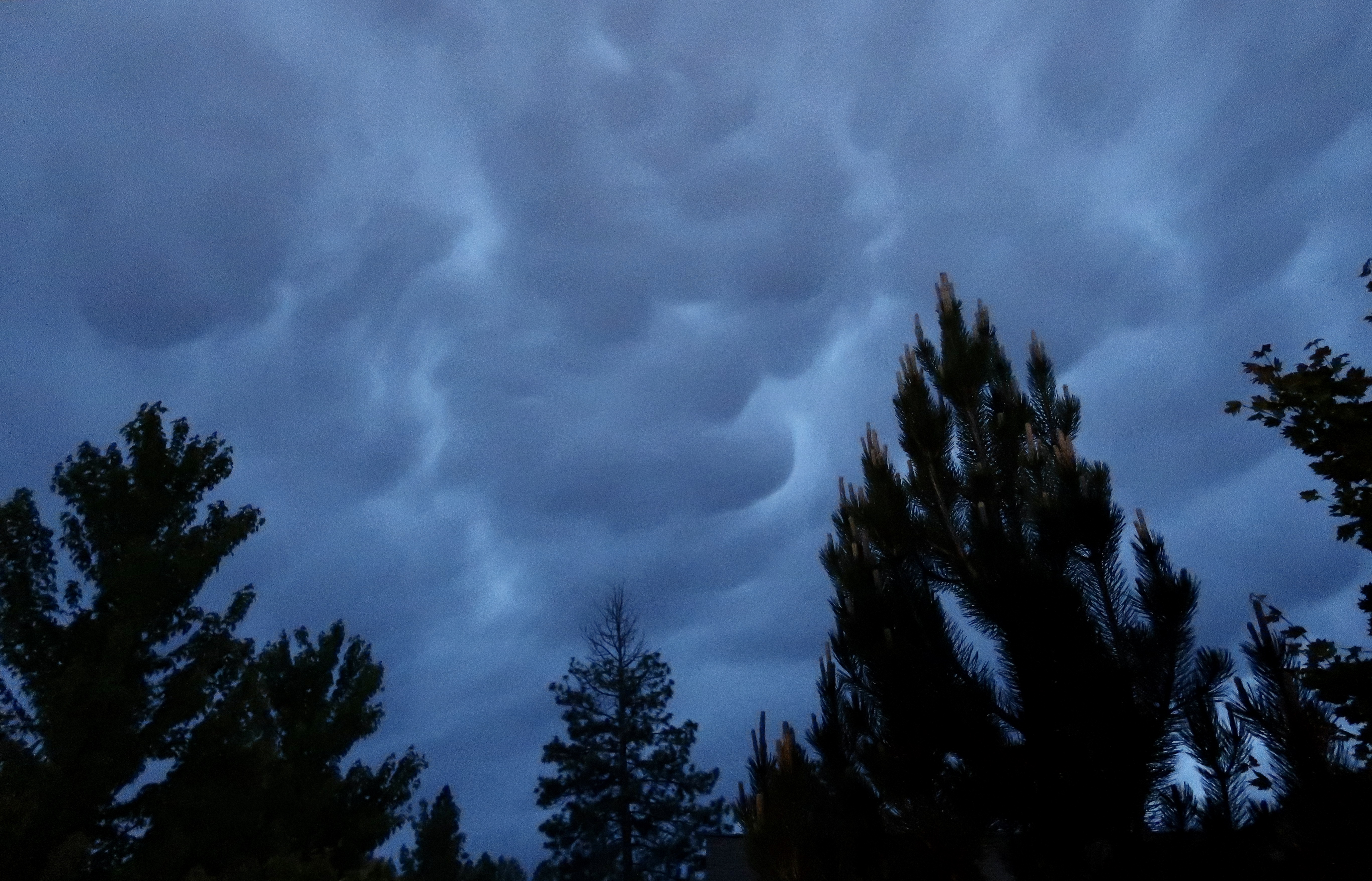 9932101A-64AC-45B4-B865-A378ADA97637_1_201_a